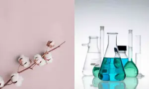 Gałązka bawełny i kolby laboratoryjne z kolorowymi płynami ilustrujące właściwości materiałów.