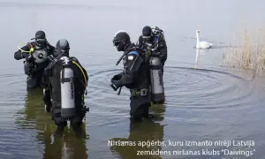Nurkowie w sprzęcie, który przypomina materiał scuba. Co to jest? Łabędź pływa obok.