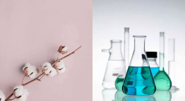 Gałązka bawełny i kolby laboratoryjne z kolorowymi płynami ilustrujące właściwości materiałów.