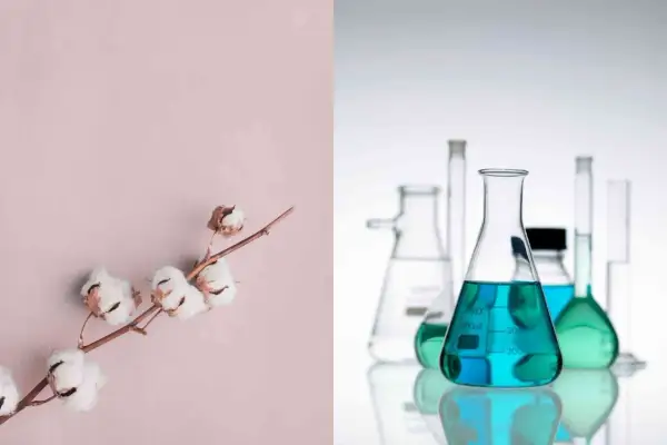 Gałązka bawełny i kolby laboratoryjne z kolorowymi płynami ilustrujące właściwości materiałów.