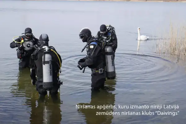 Nurkowie w sprzęcie, który przypomina materiał scuba. Co to jest? Łabędź pływa obok.